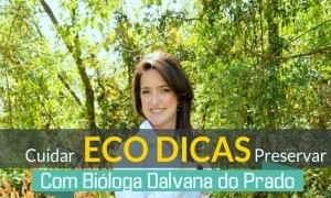 ECO DICAS - Semanal - Uma dica de cuidado ao meio ambiente